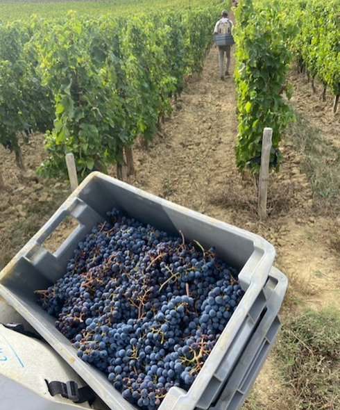 Le Terroir