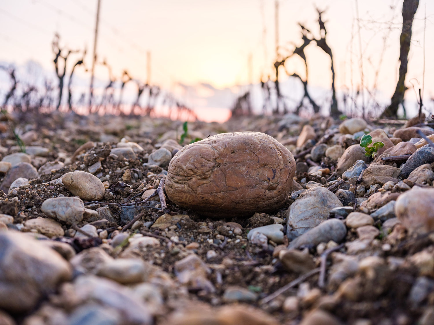 Pierre domaine auzias